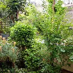 Cosy Apt In Oberkampf